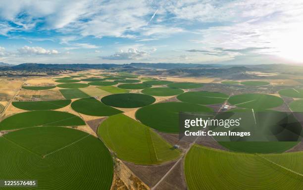 green crop circles grow in a remove nevada desert - nevada stock pictures, royalty-free photos & images