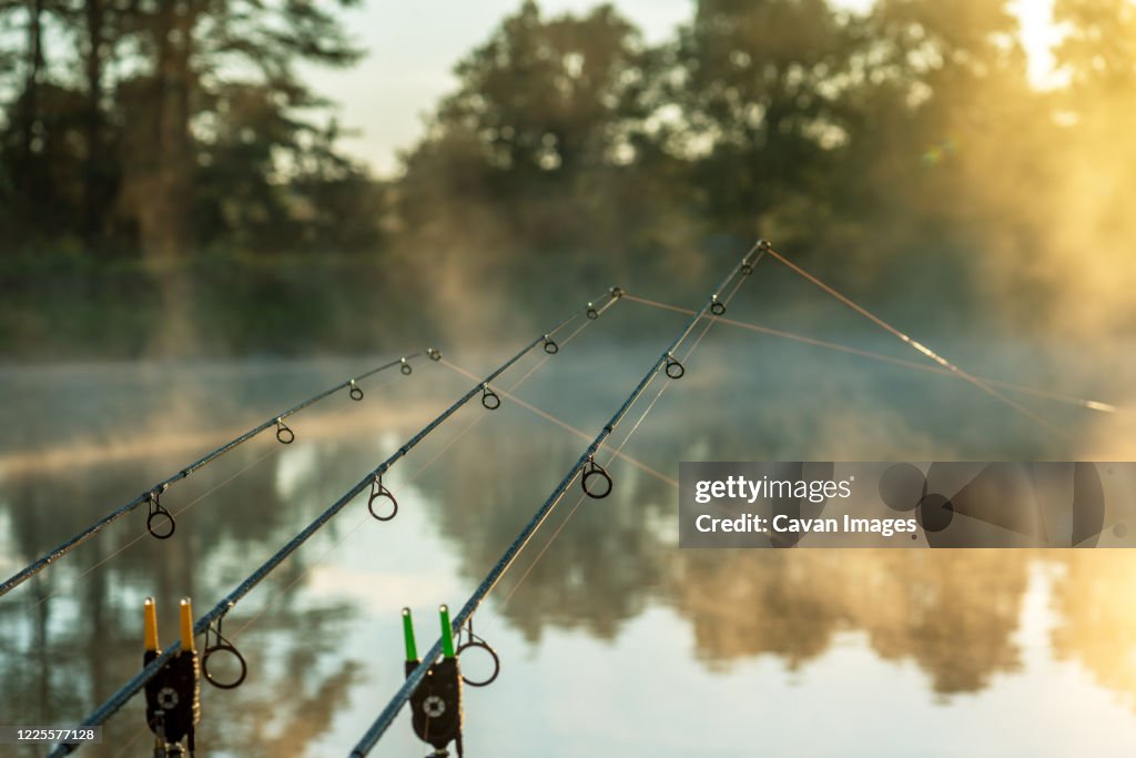 Carp fishing rods misty lake.