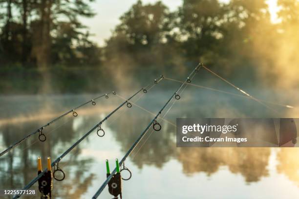 carp fishing rods misty lake. - carretel de pesca imagens e fotografias de stock