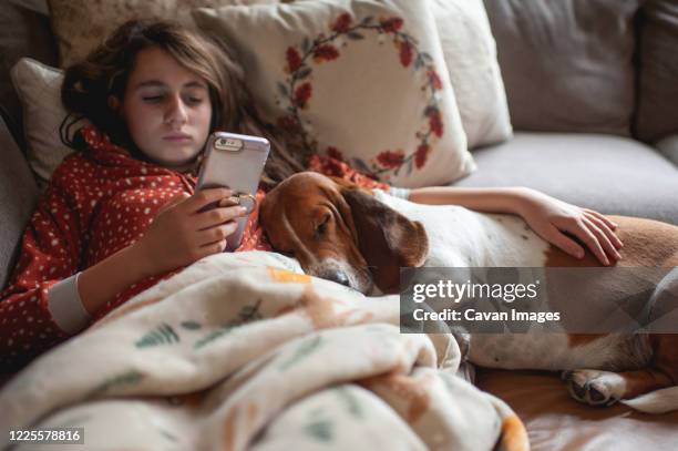 tween girl looking at her phone while cuddling with hound dog on couch - basset stock-fotos und bilder