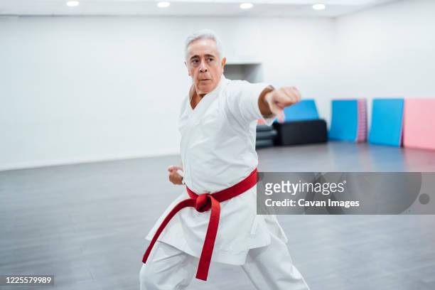 senior karate master performing combat techniques - senior kicking stock pictures, royalty-free photos & images
