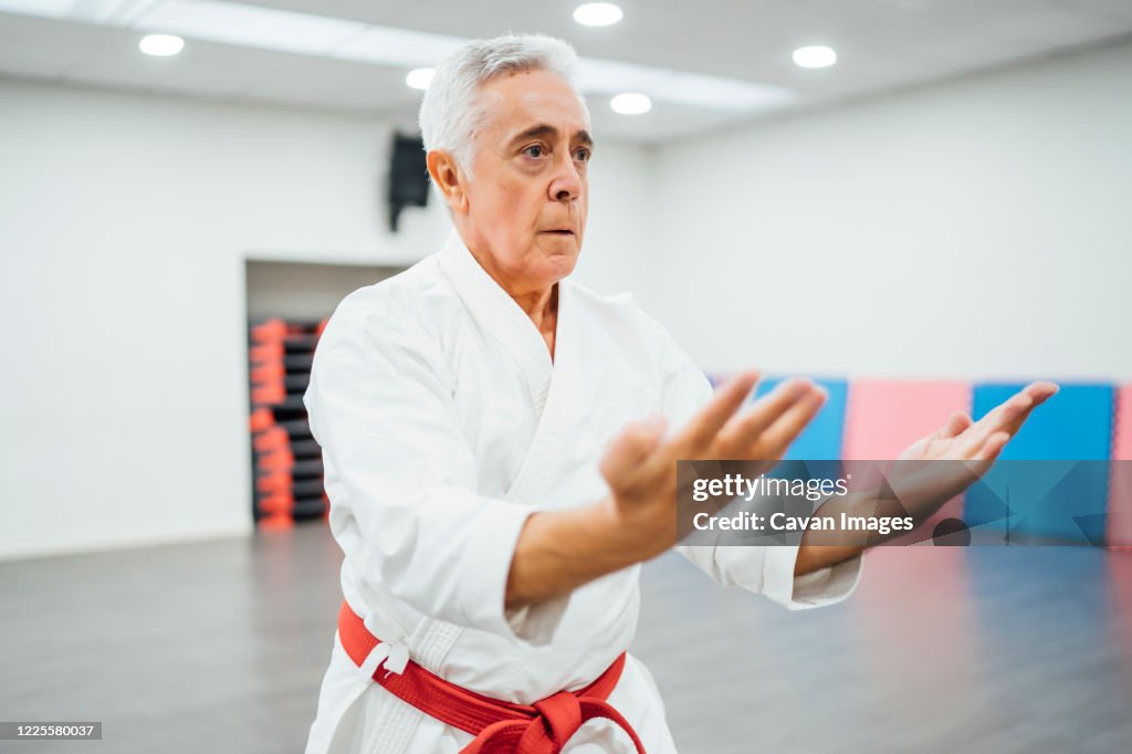 Senior Karate master performing combat techniques