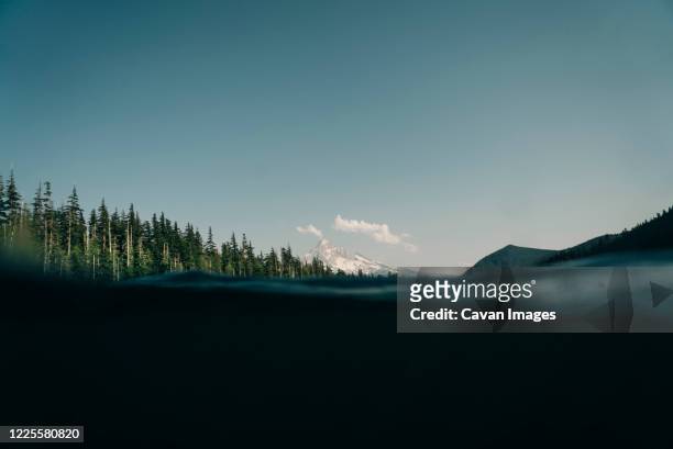 mt. hood as seen from half under water in lost lake in oregon. - oregon wilderness stock pictures, royalty-free photos & images