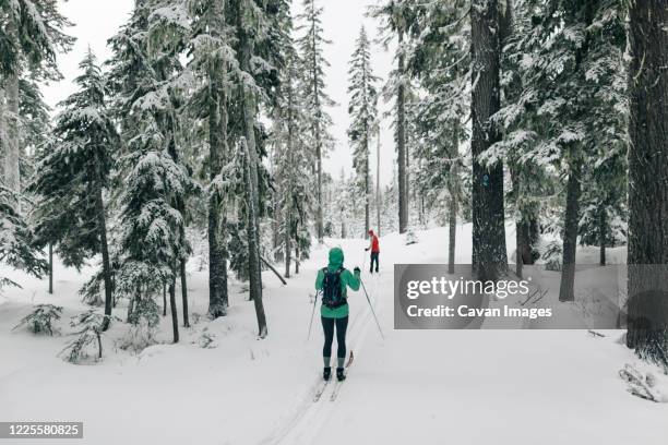 two cross country skiers on a trail near mt. hood in oregon. - mount hood stockfoto's en -beelden