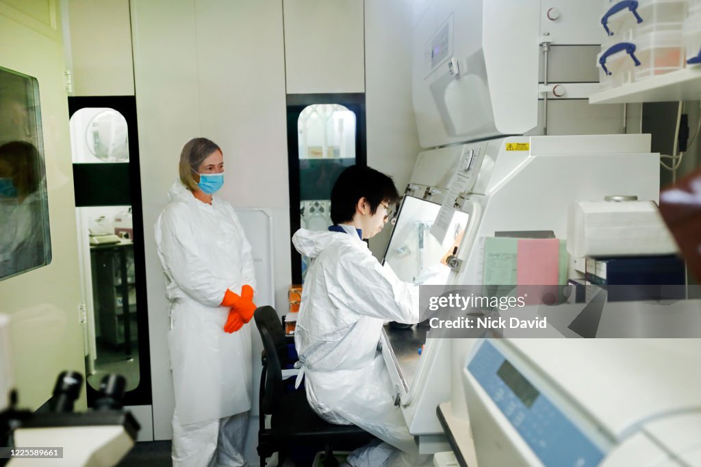 Lab Containment Cell Scientists Prepare Samples For Analysis In A Containment Laboratory ...