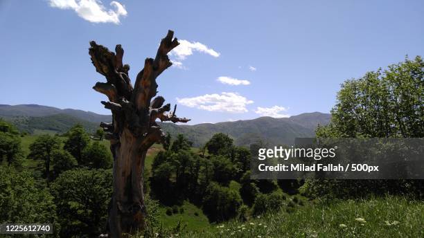 view of mountains and trees, shahrud, iran, semnan province - shahrud iran stock pictures, royalty-free photos & images
