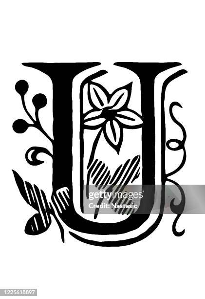 ornate letter u - letter u stock illustrations