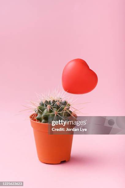 a red heart sitting on top of cactus - cactus stock pictures, royalty-free photos & images