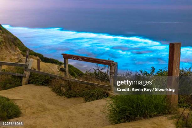 bioluminescent red tide makes the waves glow at black's beach in san diego county. - la jolla imagens e fotografias de stock