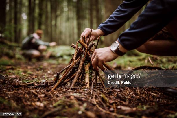 couple making campfire in woodland - collecting wood stock pictures, royalty-free photos & images