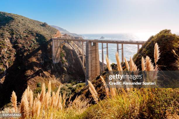 bixby bridge along california route 1, usa - big sur 個照片及圖片檔