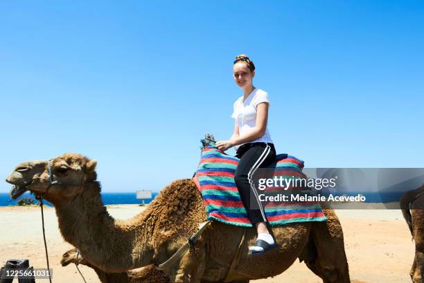 teenage girl with long red hair brown eyes and freckles sitting on top of camels back looking down towards the camera in desert area water coastline in the background side view of girl and camel - riding camel stock pictures, royalty-free photos & images