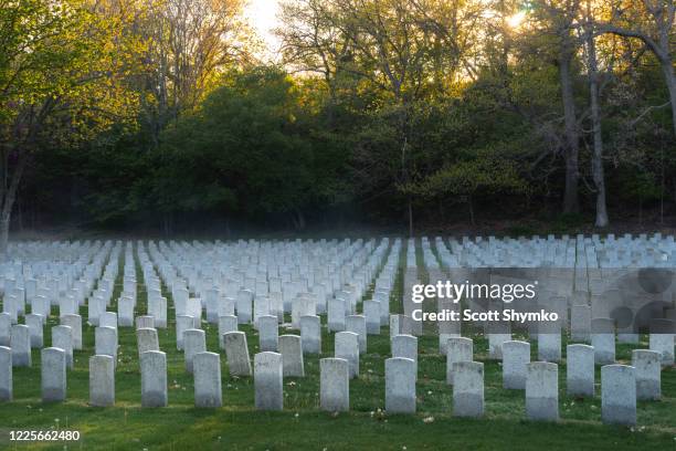 early morning light in a military cemetery - memorial service photos et images de collection