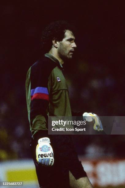 Andoni ZUBIZARRETA of Barcelona during the European Cup Winners Cup Final match between Barcelona and Sampdoria, at Wankdorf Stadium, Bern,...