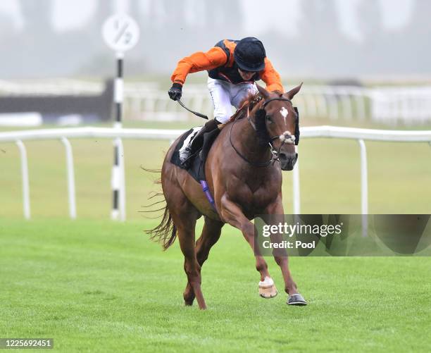 Joshua Routledge Joshua Routledge Photos and Premium High Res Pictures - Getty Images