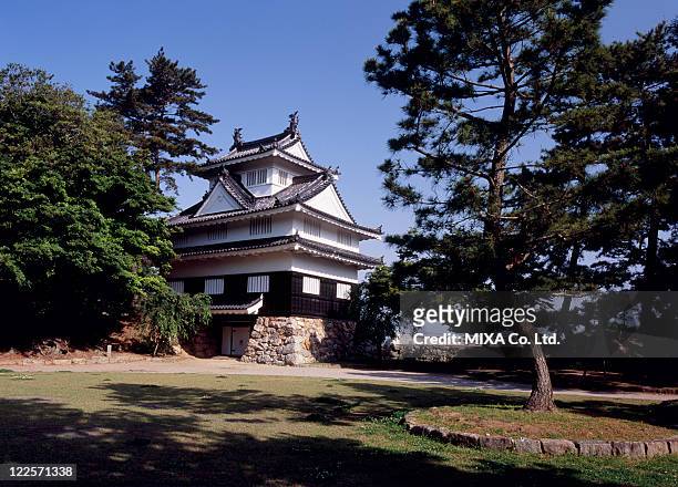 yoshida castle, toyohashi, aichi, japan - prefectura de aichi fotografías e imágenes de stock