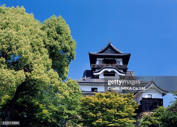 inuyama castle, inuyama, aichi, japan - aichi - fotografias e filmes do acervo