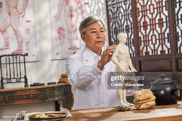 The old doctor of traditional Chinese medicine research model of the human body acupuncture point