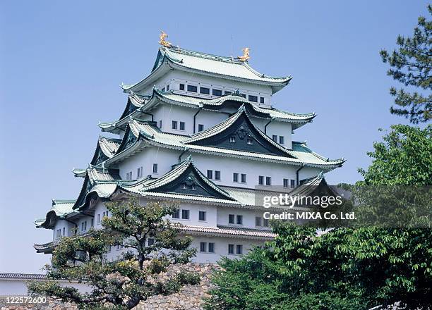 nagoya castle, nagoya, aichi, japan - nagoya bildbanksfoton och bilder