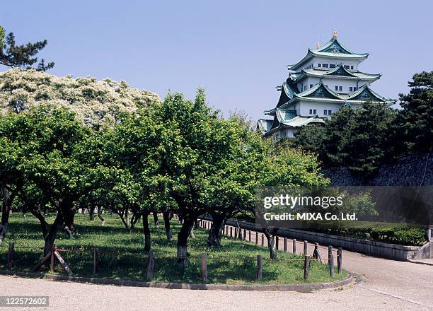 nagoya castle, nagoya, aichi, japan - aichi - fotografias e filmes do acervo