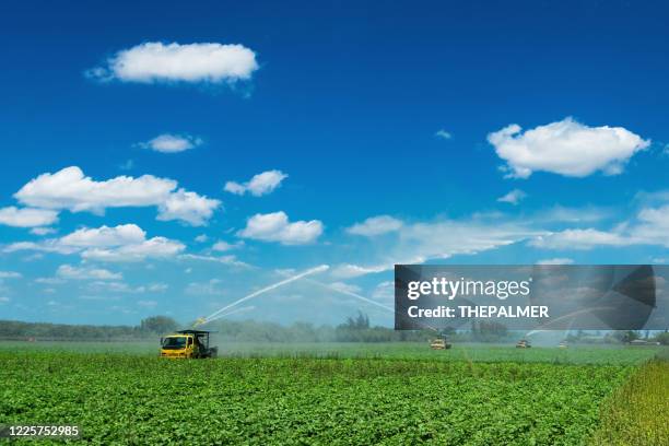 agriculture watering trucks - florida farm stock pictures, royalty-free photos & images