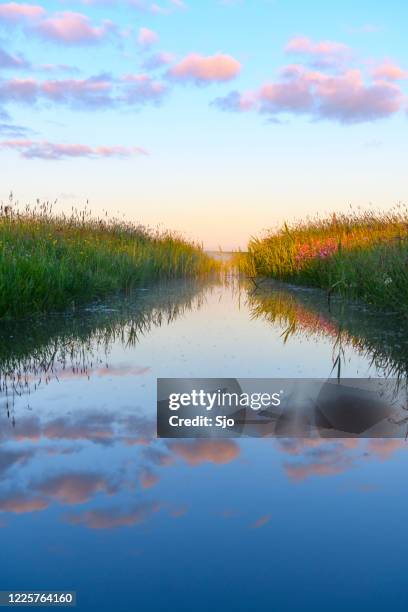 lever de soleil tôt le matin au-dessus d’un ruisseau pendant une belle journée de printemps au-dessus du zwartendijk près de kampen - brume riviere photos et images de collection