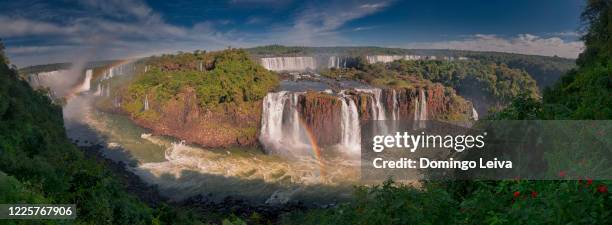 part of the iguazu falls seen from the brazilian national park, paraná, brazil - garganta del diablo fotografías e imágenes de stock