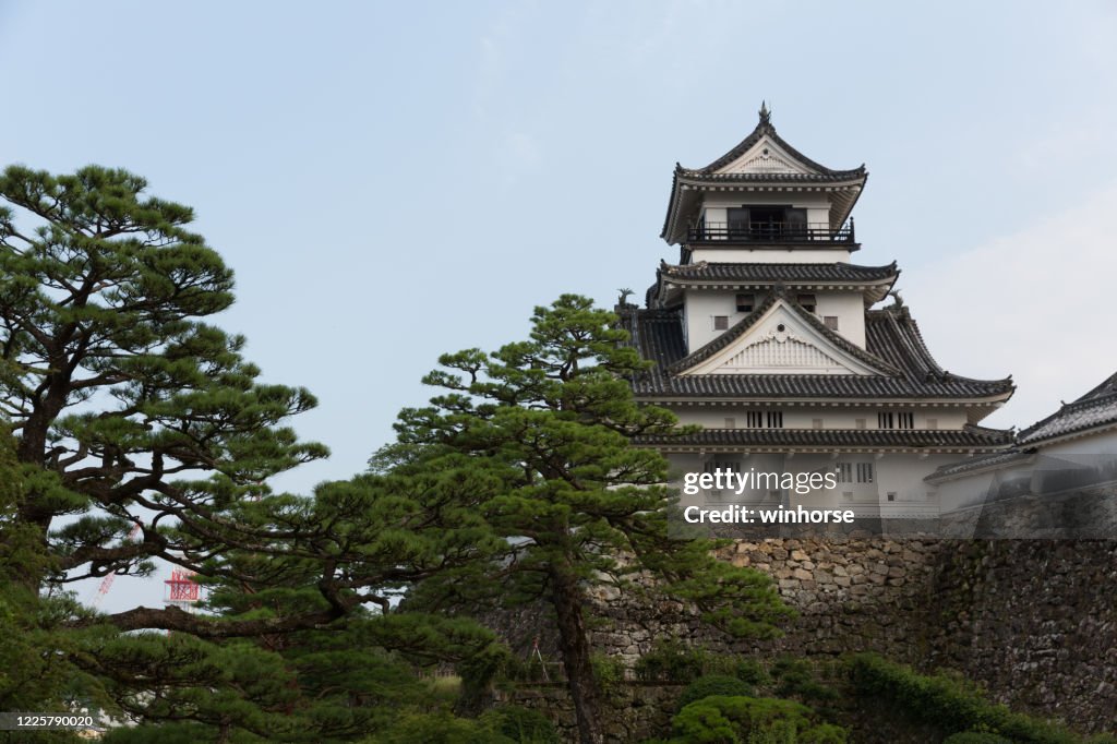 Kochi Castle in Kochi Prefecture, Shikoku, Japan