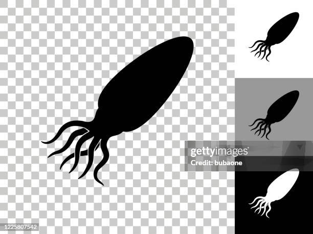 calamari icon on checkerboard transparent background - squid white background stock illustrations
