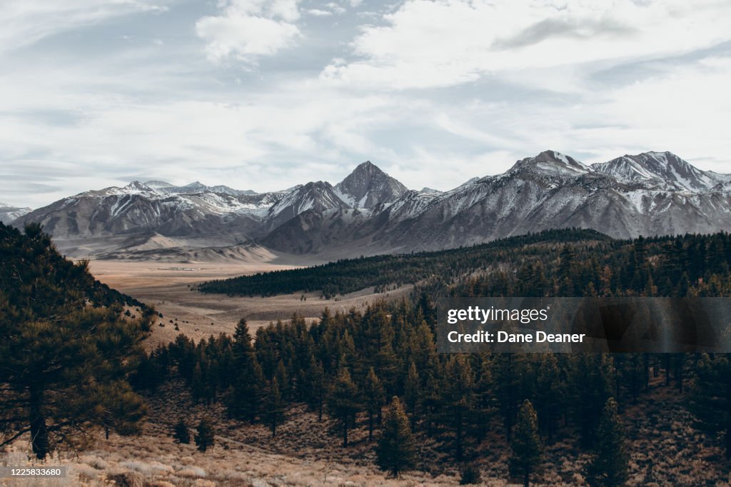 Eastern Sierra - Inyo national Forest