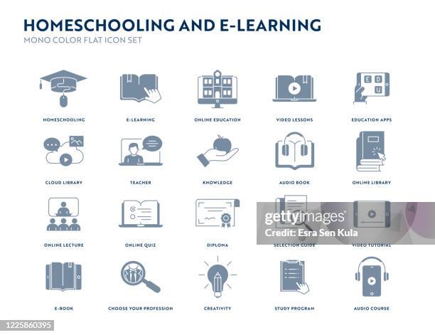 homeschooling and e-learning mono color flat icon set. - high school student virtual learning stock illustrations