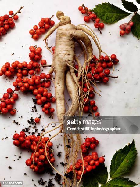 overhead view of asian ginseng root surrounded by red seeds, soil and green leaves on a white marble surface - ginseng stock-fotos und bilder