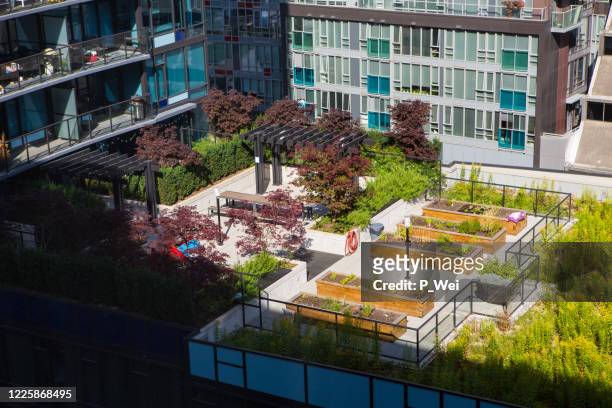 urban rooftop gardening - the roof gardens stock pictures, royalty-free photos & images