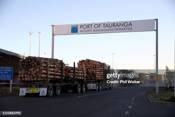Timber trucks delivering timber for export arrive into the Port of Tauranga on May 20, 2020 in Tauranga, New Zealand. New Zealand has eased...