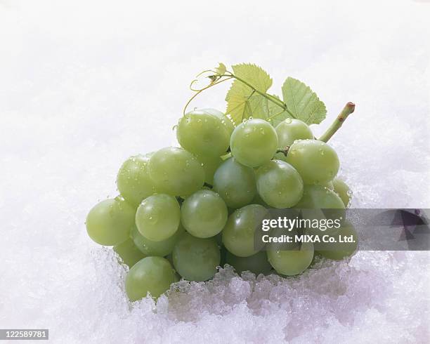 bunch of muscat grapes on ice - grande mascate imagens e fotografias de stock