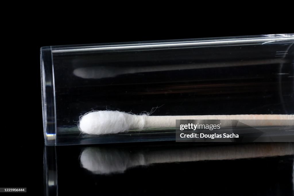 Cotton swab in a container for DNA sample collecting