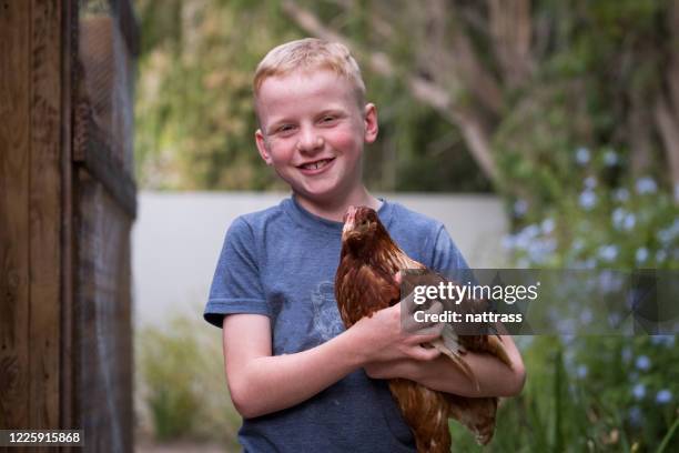 happy boy holding a hen - laying egg stock pictures, royalty-free photos & images