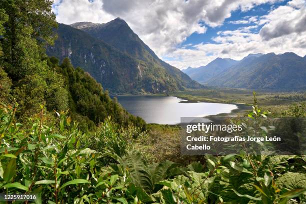 mirador lago negro - parque nacional pumalín - cabello negro stock pictures, royalty-free photos & images