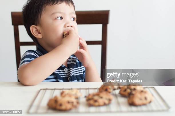 a male southeast asian toddler is enjoying a freshly baked chocolate chip cookies - eating cookies foto e immagini stock