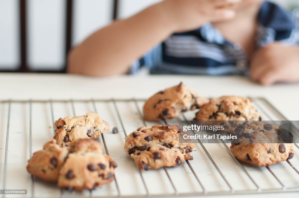 A freshly baked chocolate chip cookies enjoyed by a male Southeast Asian toddler