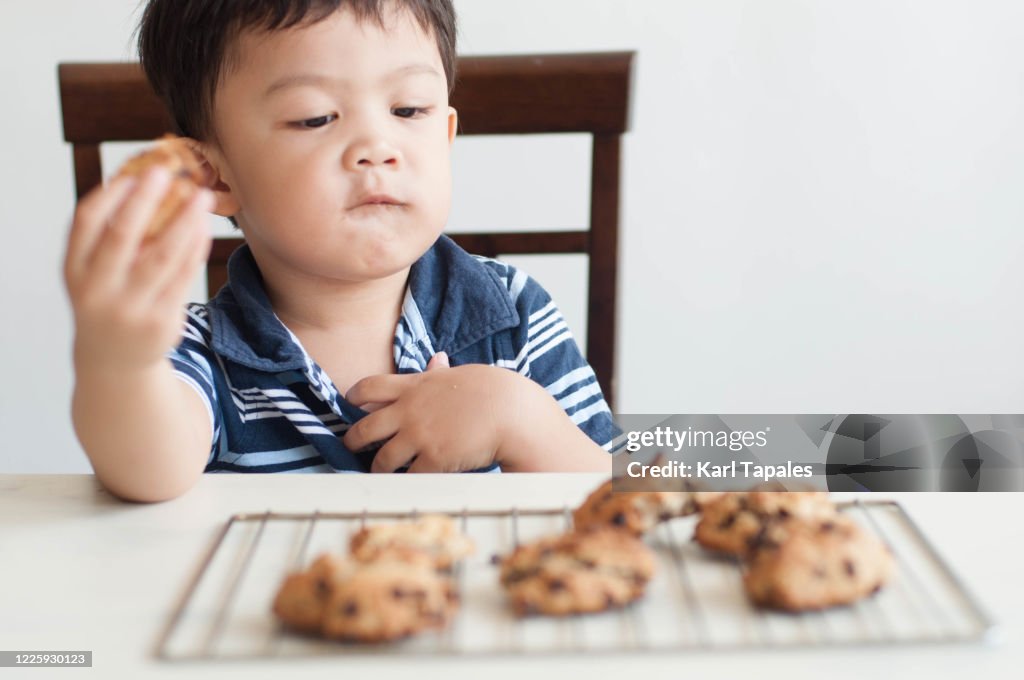 A male Southeast Asian toddler is enjoying a freshly baked chocolate chip cookies