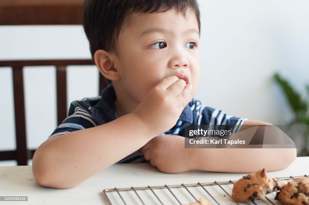 A male Southeast Asian toddler is enjoying a freshly baked chocolate chip cookies