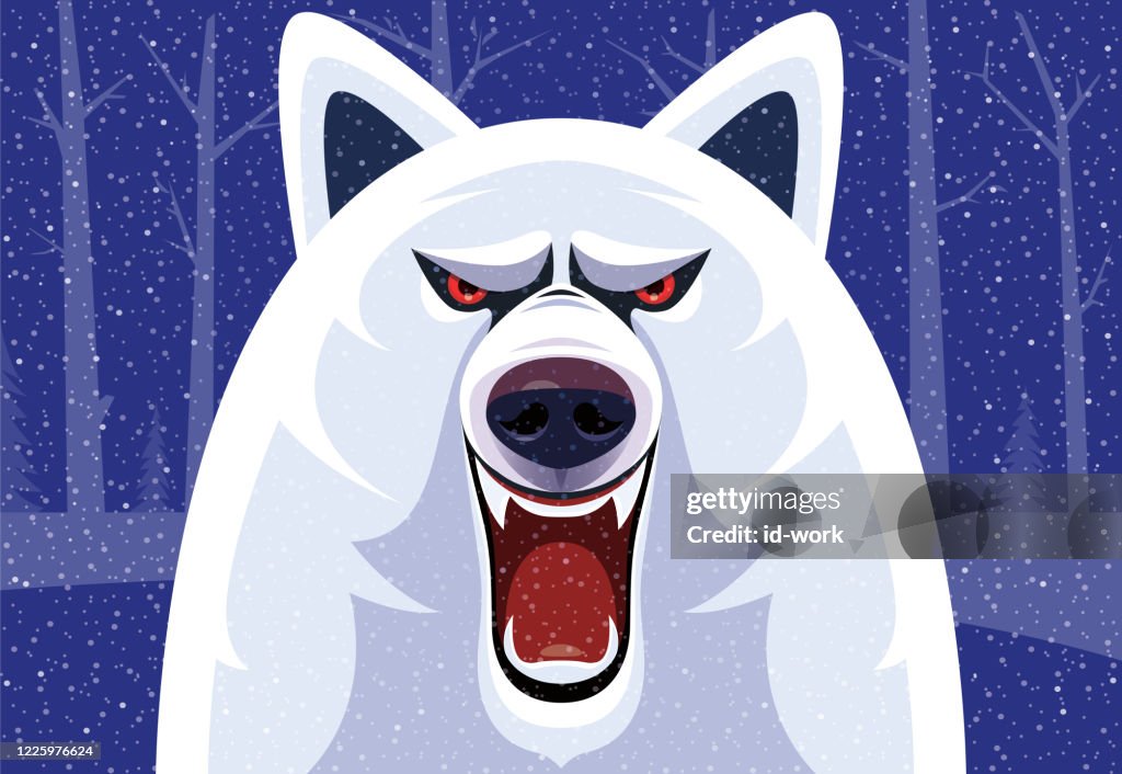 Arctic wolf yawning