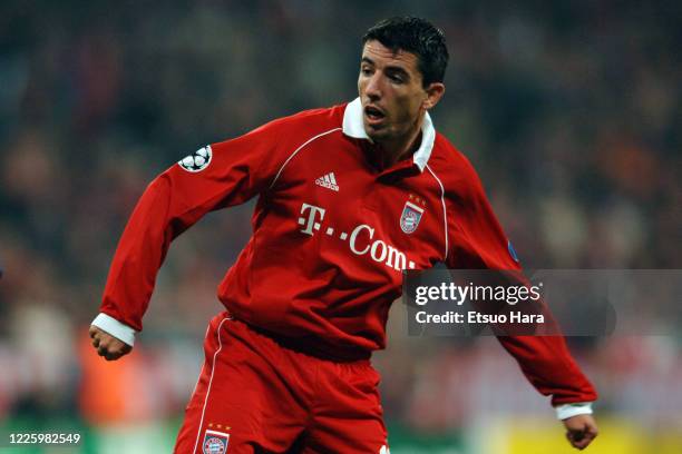 Roy Makaay of Bayern Munich in action during the UEFA Champions League Group A match between Bayern Munich and Juventus at the Allianz Arena on...