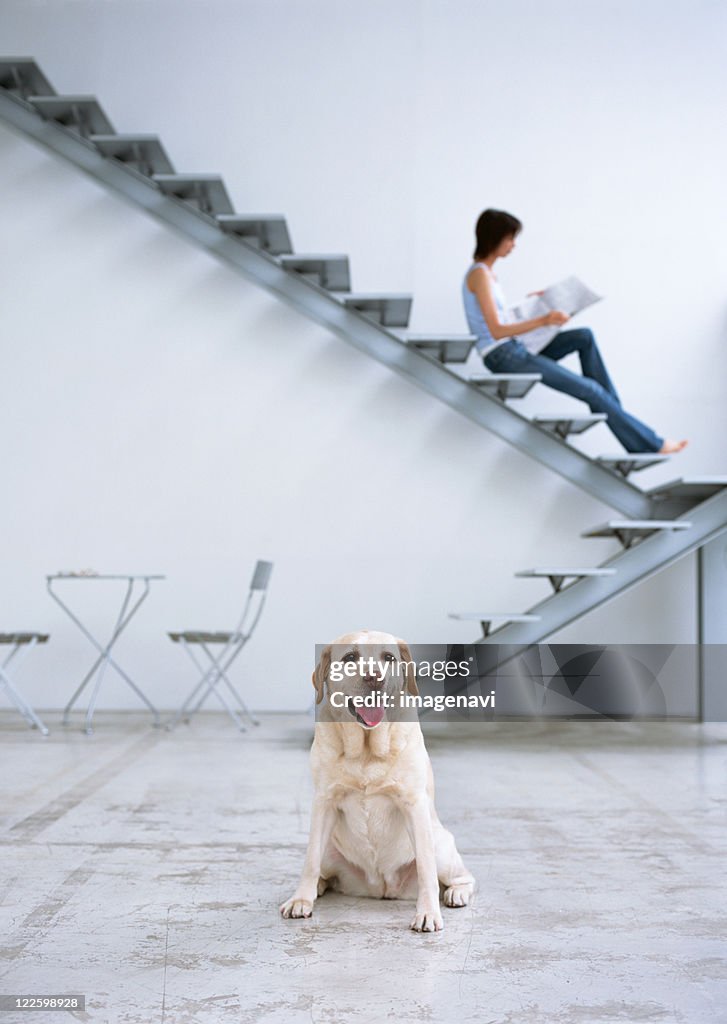 Dog and woman sitting on stairs