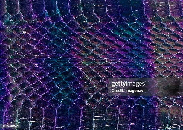 snakeskin - black snakeskin stock pictures, royalty-free photos & images