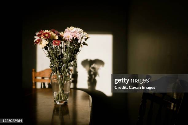59 241点の花 影のストックフォト Getty Images 59 241点の花 影のストックフォト Getty Images