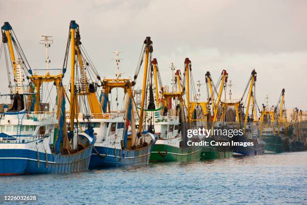 trawler fleet docked at pier in middelburg / netherlands - middelburg netherlands stock-fotos und bilder