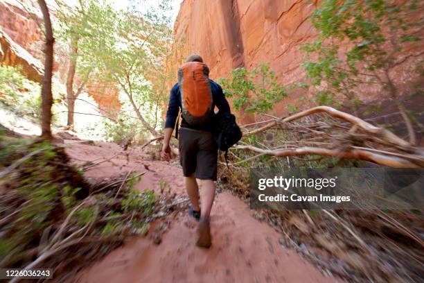 young man hiking through a dry canyon in utah - geting away from it all stock pictures, royalty-free photos & images