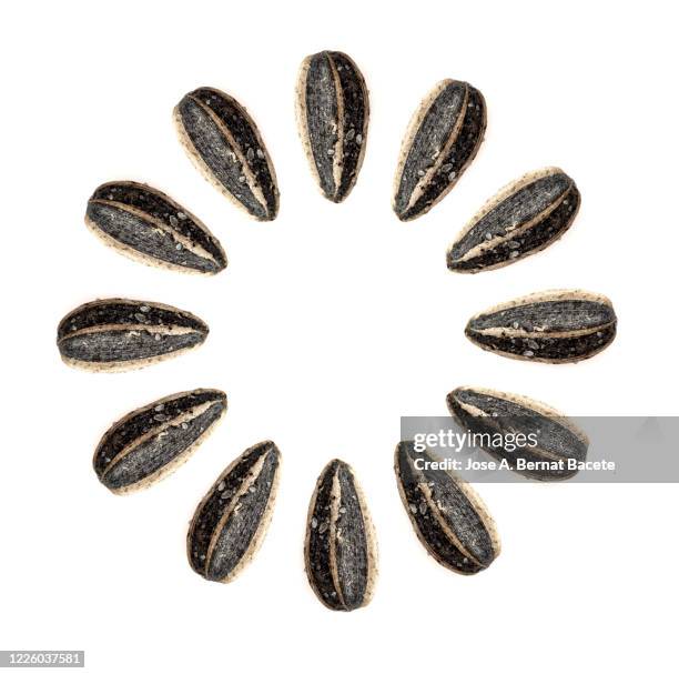 group of sunflower seeds in shell and salt forming a circle on a white background. - sunflower seed stock pictures, royalty-free photos & images